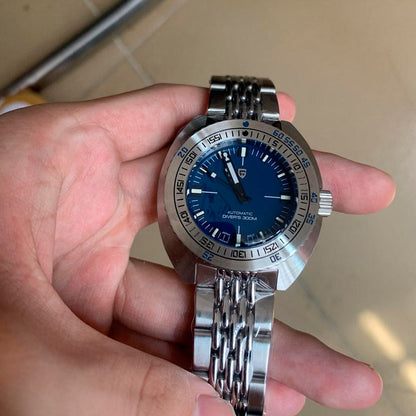 Pagani Design Bleu Tortue