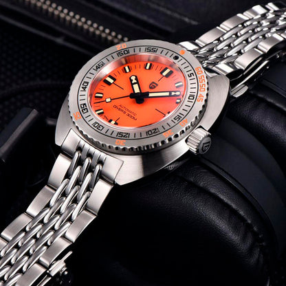 Pagani Design Orange Tortue